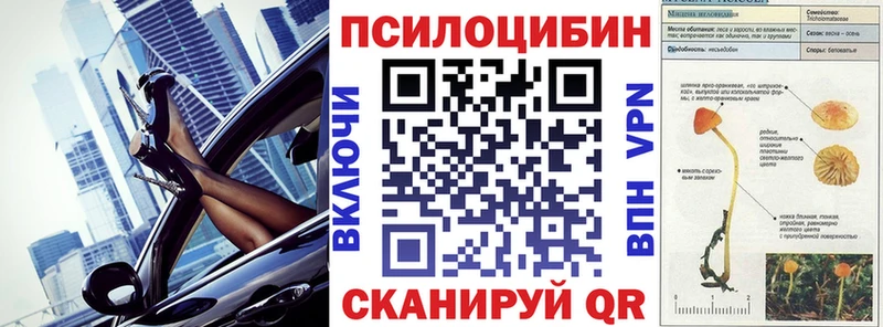KRAKEN сайт  Протвино  Галлюциногенные грибы GOLDEN TEACHER 